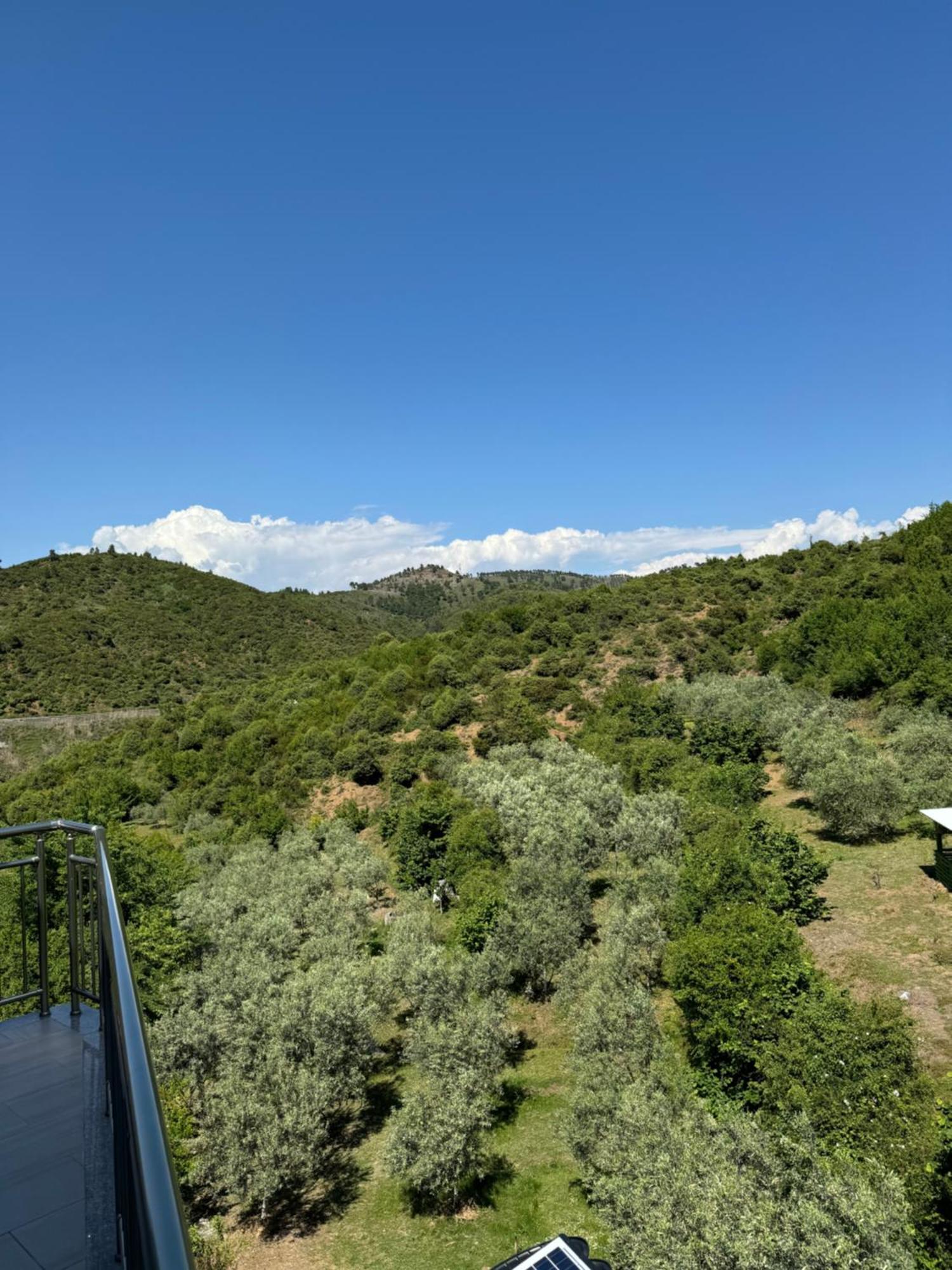 שקודר Qyteza Guest House & Camping מראה חיצוני תמונה