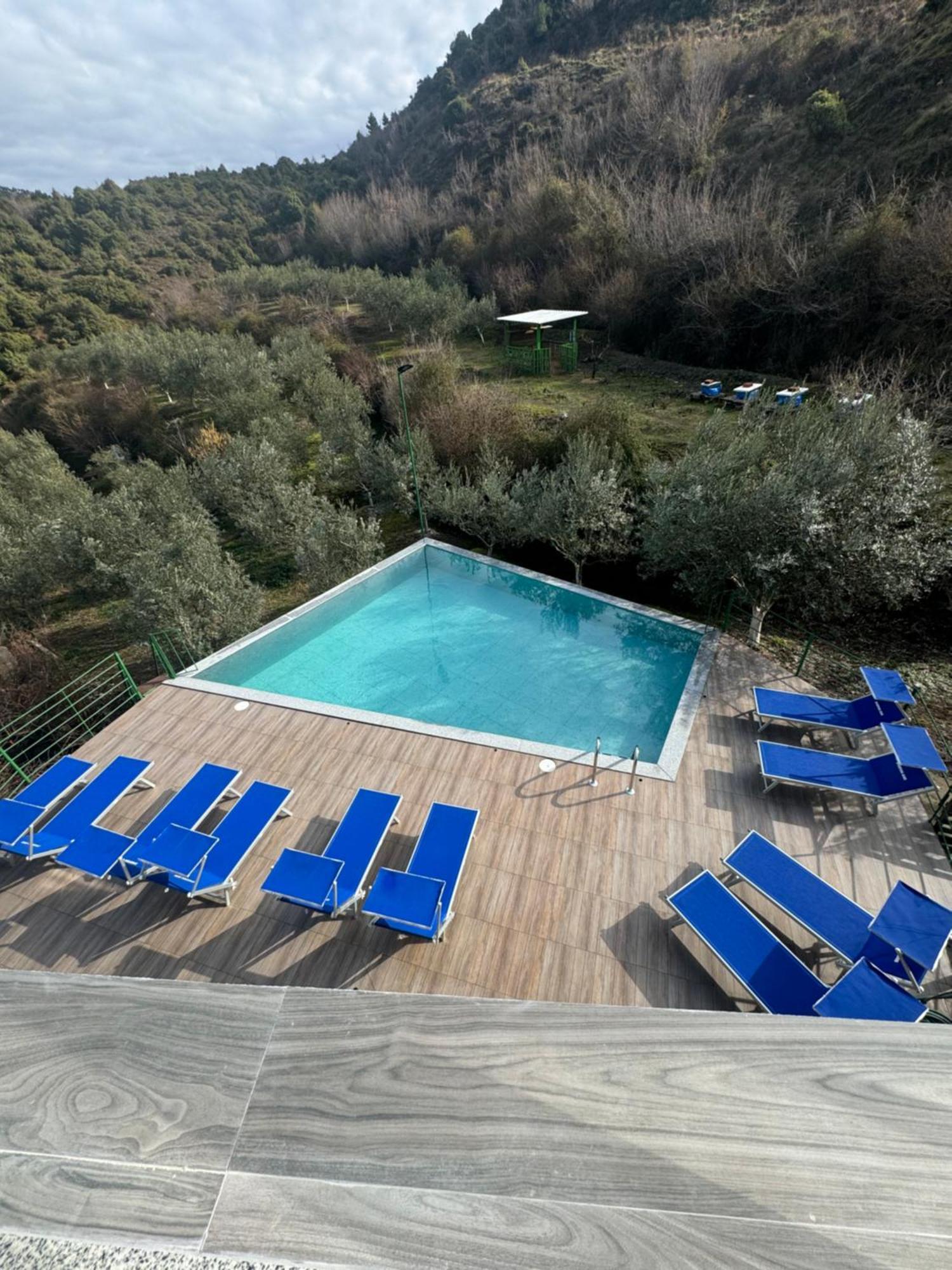 שקודר Qyteza Guest House & Camping מראה חיצוני תמונה